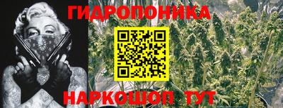 хмурый Владивосток