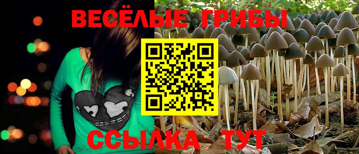 Псилоцибиновые грибы ЛСД Кудрово